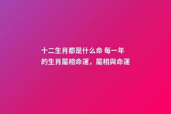 十二生肖都是什么命 每一年的生肖屬相命運，屬相與命運